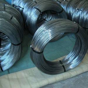 Spring Wire