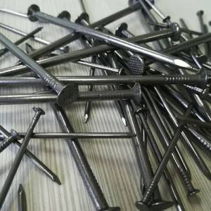 Online Exporter Concrete Screw Iron Nails With Washer -
 Common Round Nails – Five-Star Metal
