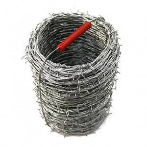 Galvanized barbed wire