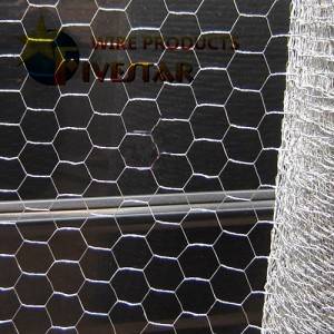 Hexagonal Wire Netting