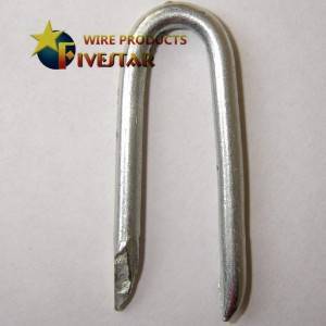 Polished /galvanized U staples