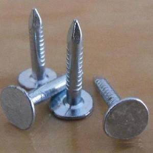 Galvanized roofing nails