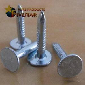 Newly Arrival Electro Galvanized Clout Nail,Flat Head