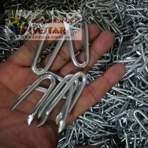 Electro galvanized U staples